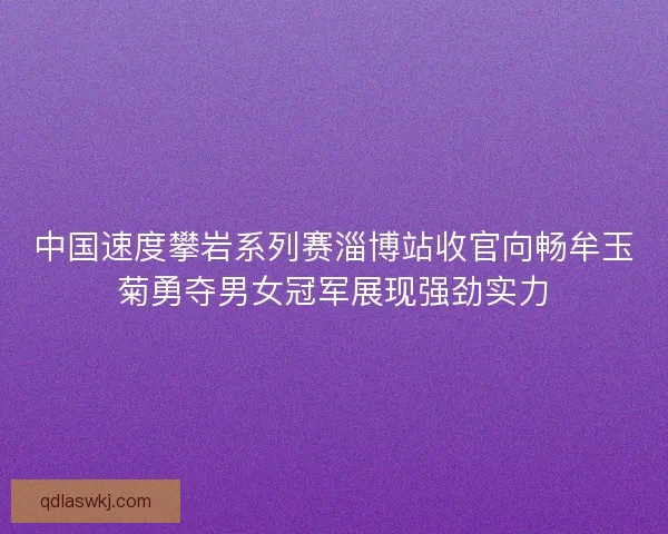 中国速度攀岩系列赛淄博站收官向畅牟玉菊勇夺男女冠军展现强劲实力