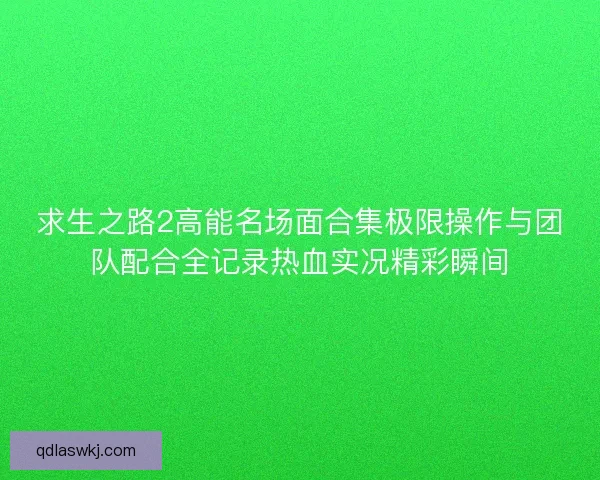 求生之路2高能名场面合集极限操作与团队配合全记录热血实况精彩瞬间