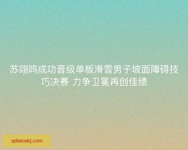 苏翊鸣成功晋级单板滑雪男子坡面障碍技巧决赛 力争卫冕再创佳绩 苏翊鸣成功晋级单板滑雪男子坡面障碍技巧决赛 力争卫冕再创佳绩